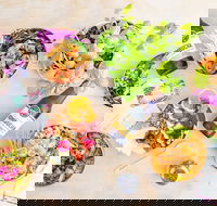 HiPoke Kirra - Accommodation Noosa