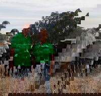 Milawa Organic Beef - Accommodation Noosa