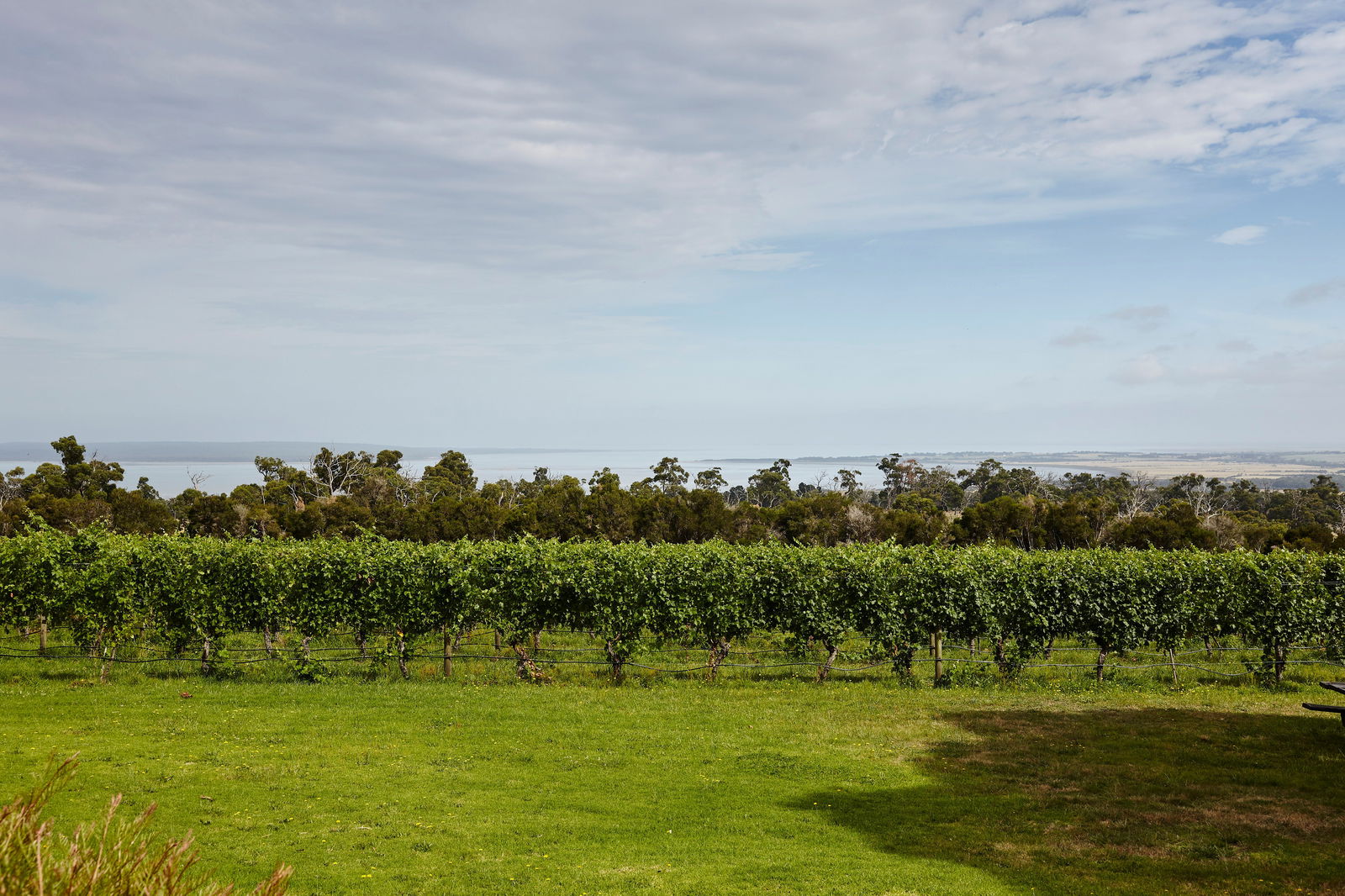 Adams Estate VIC Accommodation Noosa