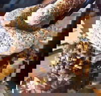 Boxers Burgers - Accommodation Noosa