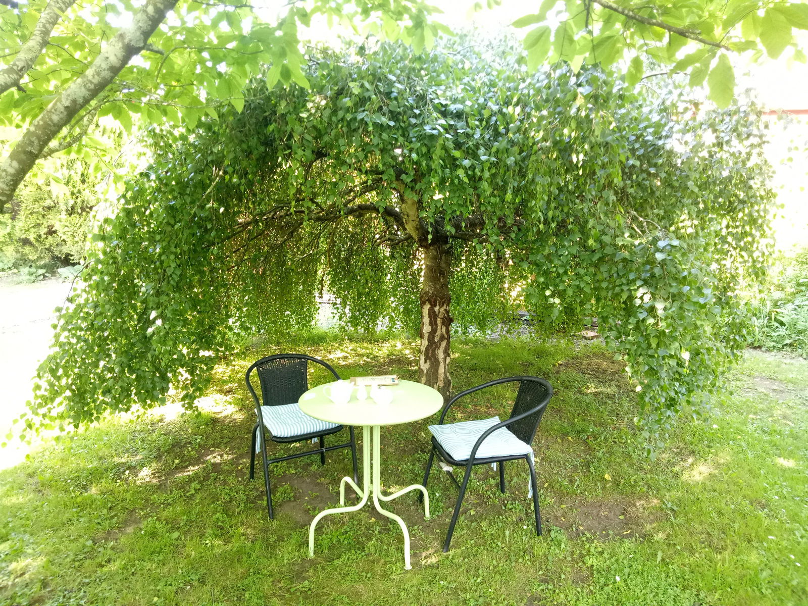 Mole Creek TAS Accommodation Noosa