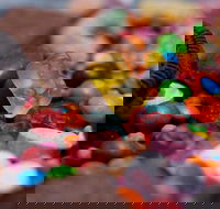 Fortune Hut - Accommodation Noosa