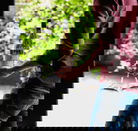 Giant Steps Cellar Door - Accommodation Noosa