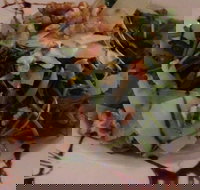 Angies Italian Kitchen - Accommodation Noosa