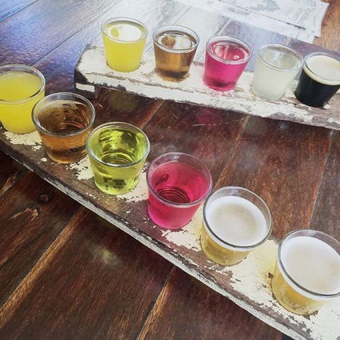 Bush Shack Brewery - Accommodation Noosa 0