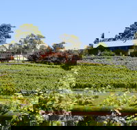 djinta djinta Winery - Accommodation Noosa