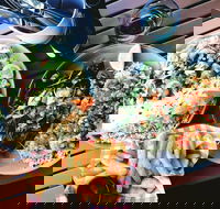 Luxe Fish - Accommodation Noosa