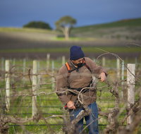 Kurtz Family Vineyards - Accommodation Noosa