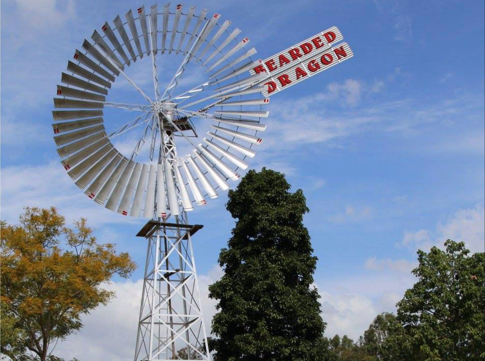 Tamborine QLD Accommodation Noosa