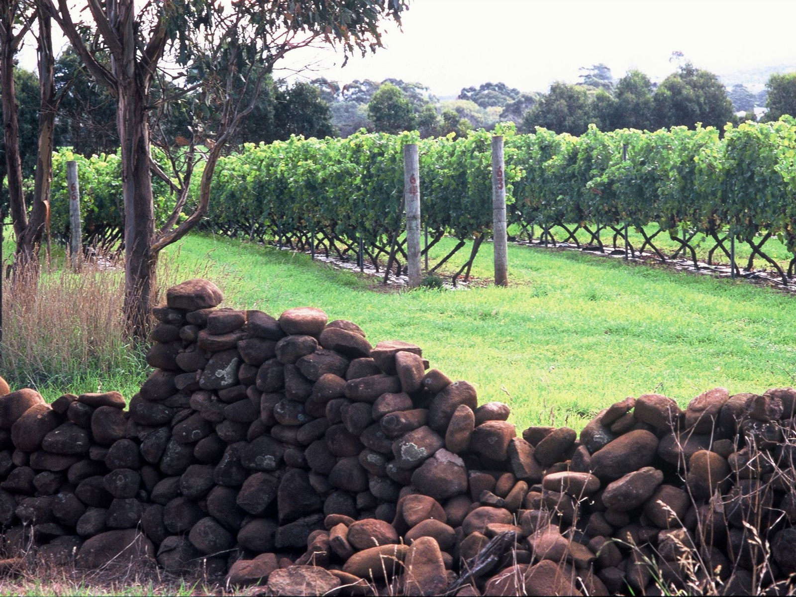 Cranbrook TAS Accommodation Noosa