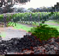 Spring Vale Vineyard - Accommodation Noosa