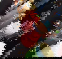 7 Seas - Accommodation Noosa