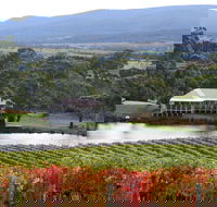 Milton Vineyard - Accommodation Noosa