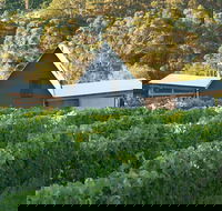Two Bud Spur Vineyard - Accommodation Noosa