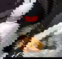 Lil' Orbit - Accommodation Noosa