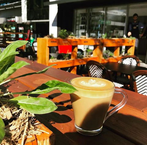 Apothecafe - Accommodation Noosa 0