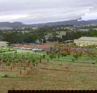Villa d Esta Vineyard - Accommodation Noosa