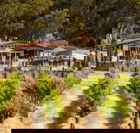 False Cape Wines Cellar Door - Accommodation Noosa