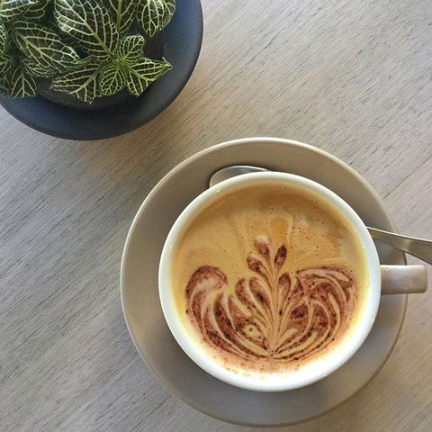 Soul Surf Cafe - Accommodation Noosa 0