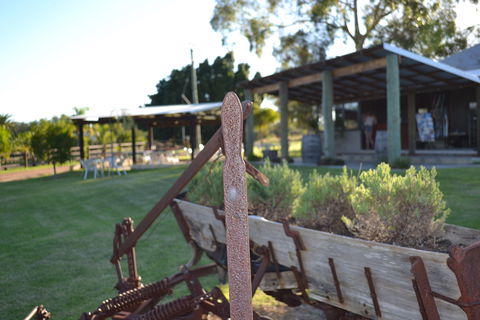 Ugly Duckling Wines - Accommodation Noosa 0