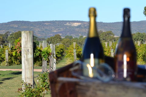 Ugly Duckling Wines - Accommodation Noosa 1