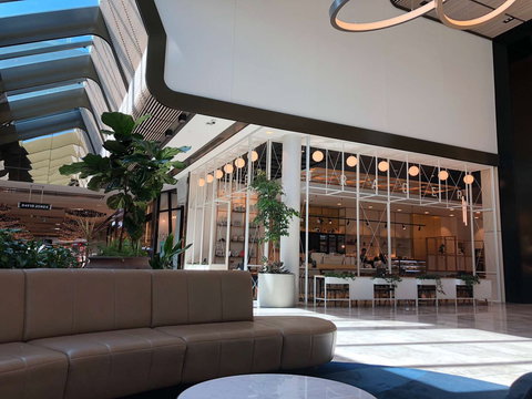 Caffeine Trader - Accommodation Noosa 0