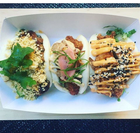 Anchovy - Accommodation Noosa 11