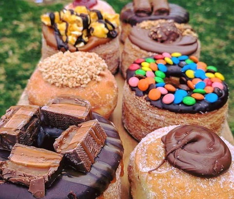 Anchovy - Accommodation Noosa 12