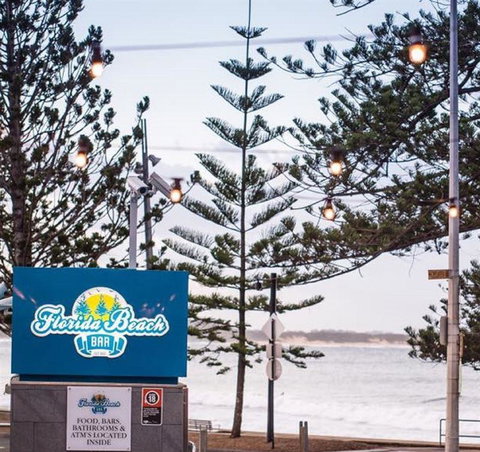 Anchovy - Accommodation Noosa 2