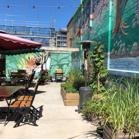 O Cha Cha - Accommodation Noosa 0