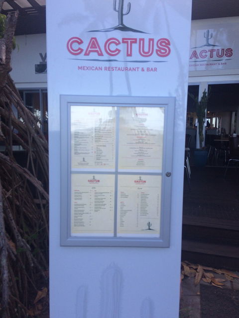 Cactus - Accommodation Noosa 3