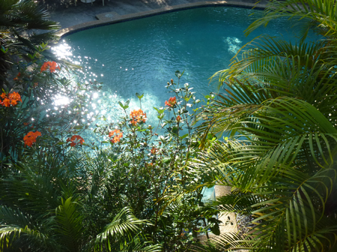 Avoca Beach Hotel - Accommodation Noosa 0