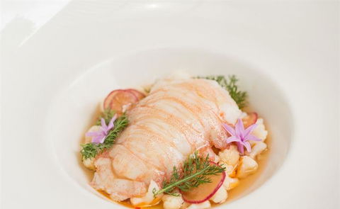 The Peak Restaurant At Spicers Peak Lodge - Accommodation Noosa 8