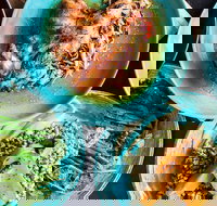 Black Bird - Accommodation Noosa