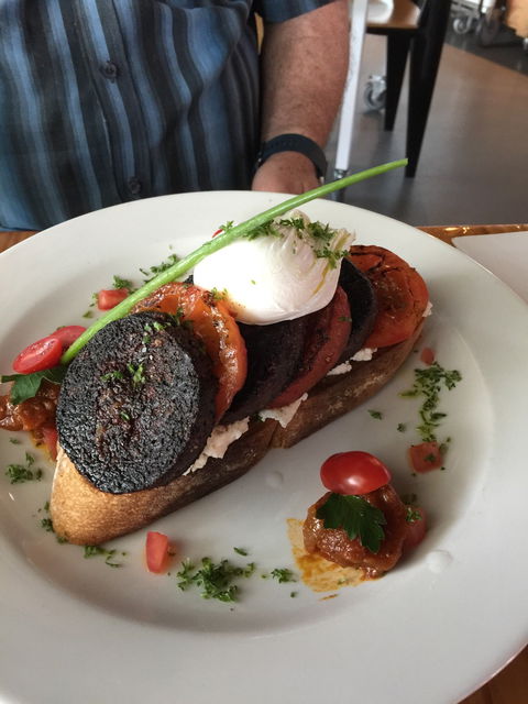 Tuck Shop Cafe - Accommodation Noosa 5