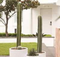 Adina Apartment Hotel Chippendale - Accommodation Noosa