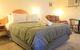 St Georges Motor Inn - thumb 6