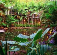 Daintree Eco Lodge  Spa - Accommodation Noosa