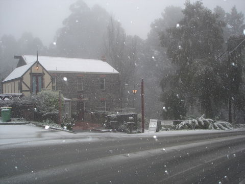 Adeline Bed & Breakfast - Accommodation Noosa 1
