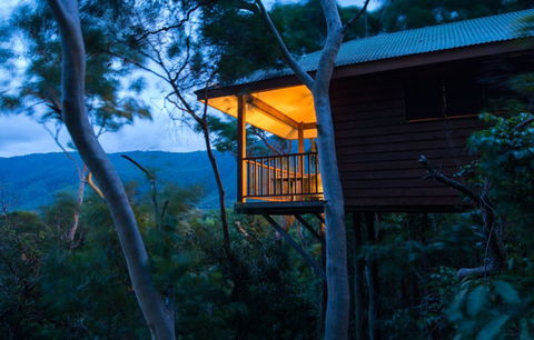 Thala Beach Nature Reserve - Accommodation Noosa 0