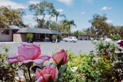 Artesian Spa Motor Inn - Accommodation Noosa 2