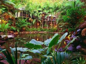 Daintree QLD Accommodation Noosa