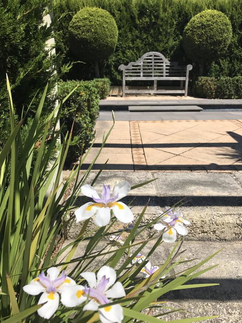 S T U D I O 22 Peaceful Retreat With Garden Views - Accommodation Noosa 13