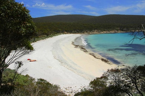 Bay 10 - Suites And Apartments - Accommodation Noosa 27