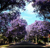 Monaco Court Apartment Adelaide - Accommodation Noosa