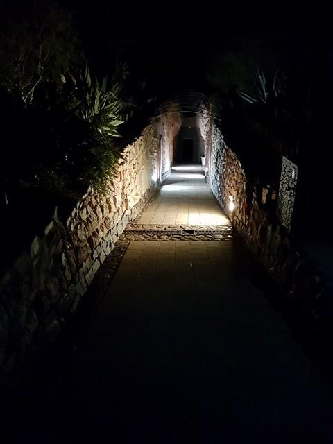 Zen Underground B&B - Accommodation Noosa 13