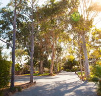 Modra's Apartments - Accommodation Noosa