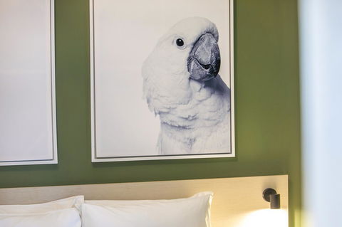 Nightcap At Exeter Hotel - Accommodation Noosa 12