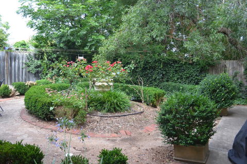 A Secret Treasure - Accommodation Noosa 17