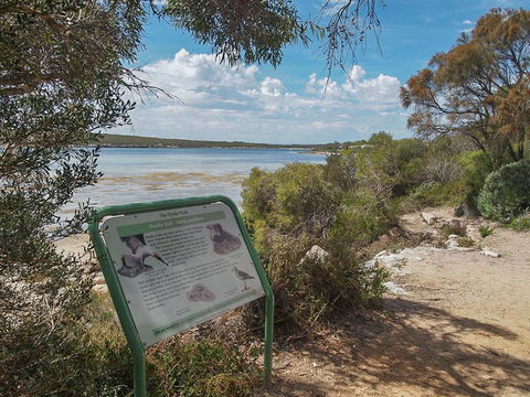 Willygunyah - Accommodation Noosa 31